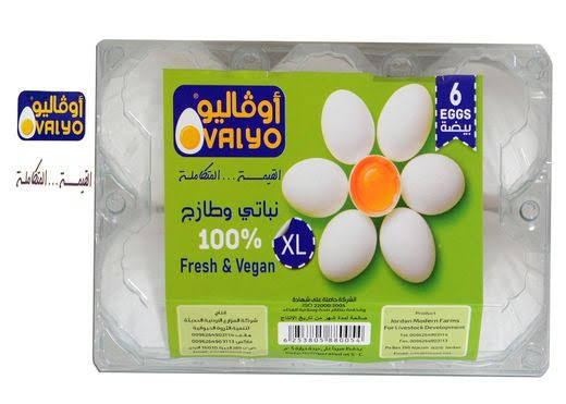 بيض اوفاليو 6 حبات